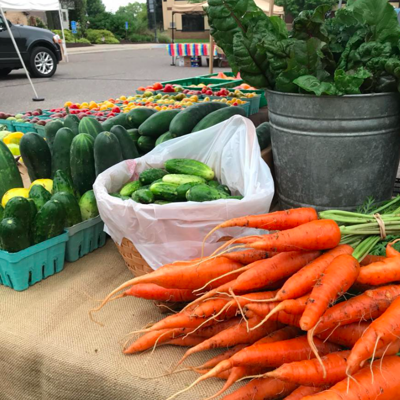 Local, organically grown vegetable display by French Lake Farmer at the Annandale Farmers Market in central Minnesota